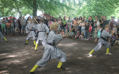 Kungfu